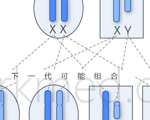 湖北三代试管生男孩医院排名,附试管代怀生子费用一览!