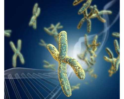 兰州试管代怀生子助孕机构排名,附助孕医院一览!