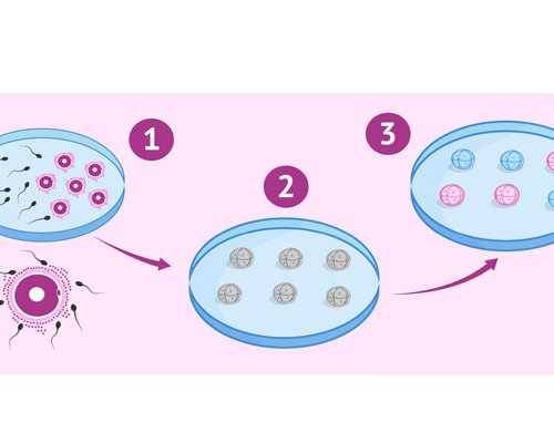 丰城供卵代怀，做供卵代怀试管代生取精前禁欲多少天