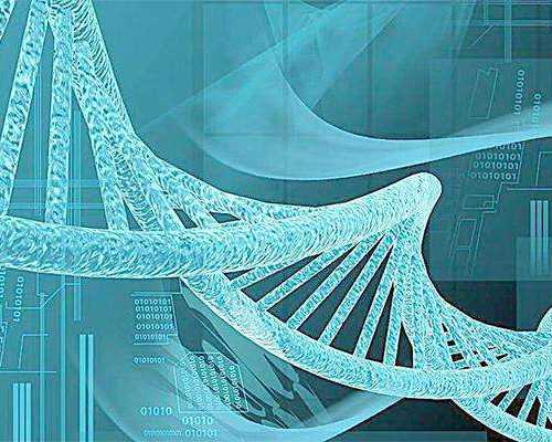 上海供卵机构哪有（上海供卵代怀机构）