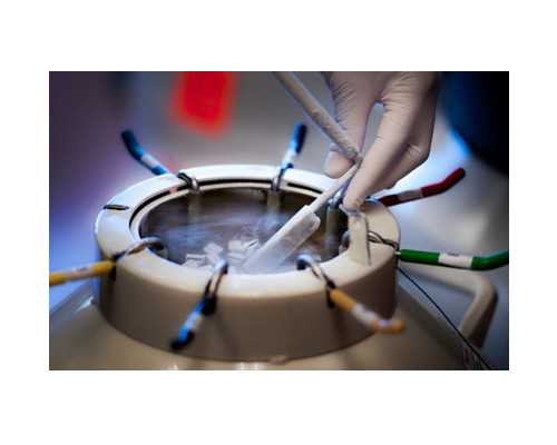 深圳助孕价格,深圳代生男孩,深圳代生妈妈_代孕公司供卵_怎样找代孕的医院