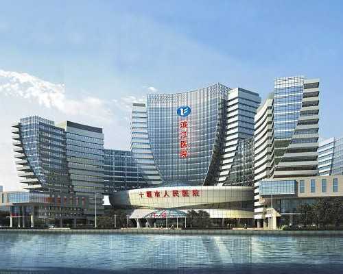 找上海试管婴儿代怀中介多少钱？