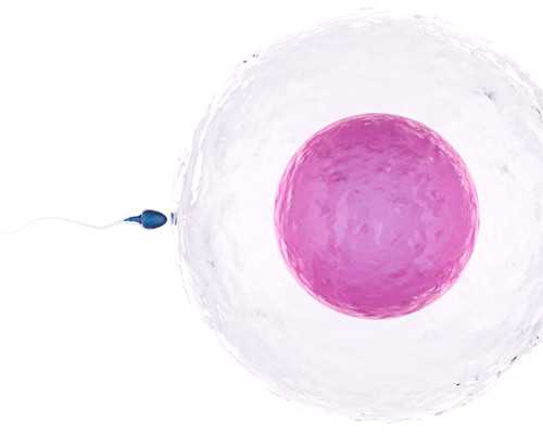 2026陕西供卵试管代怀包成功机构名单发布-附费用解读