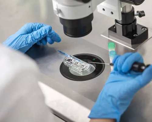 2026
武汉市试管代怀生子机构排名，附试管助孕机构名单！_正规代孕网站-靠谱