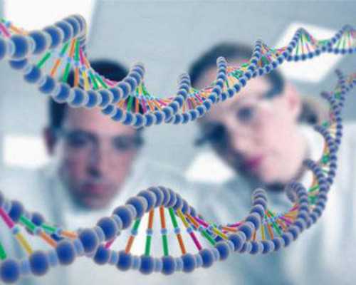 武汉正规借卵试管机构排名名单？附详细介绍？_最专业的代孕公司-代孕顶尖医