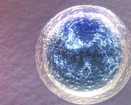 世纪高端代怀_代怀多少钱,海南试管代怀生子机构公开,2026
海南供卵生殖中心名