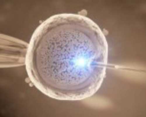 2026代怀生子需要多少钱？附费用明细？